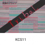 KCS11